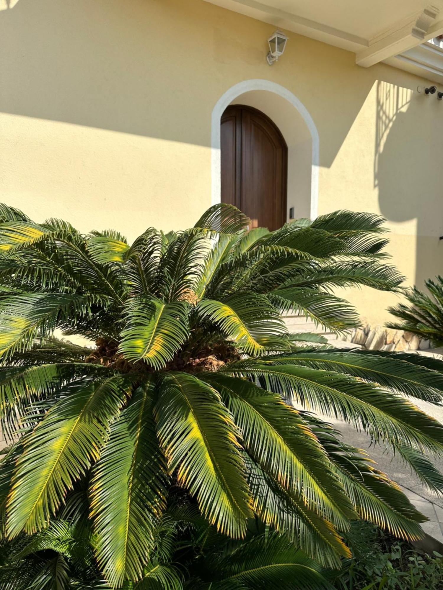 Apartment Dei Lidi's House Olbia